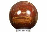 Colorful Petrified Wood (Araucaria) Sphere - Madagascar #323605-1